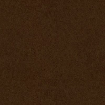 Kravet ABILENE COCOA