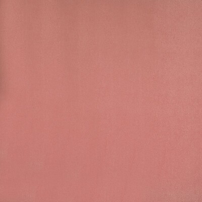 Kravet VILLANDRY FADED CORAL