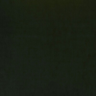 Kravet VILLANDRY FOREST