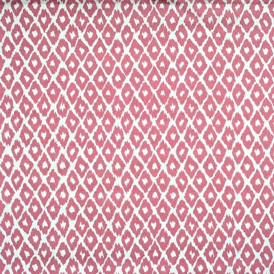 Kravet GYPSUM OUTDOOR TROPIC