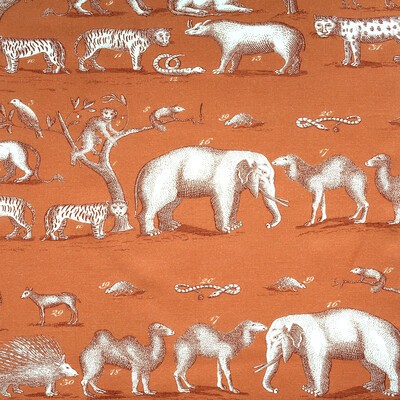 Kravet KINGDOM OUTDOOR LAVA