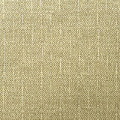 Kravet FURROW HONEY