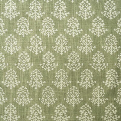 Kravet SPRIG FENNEL