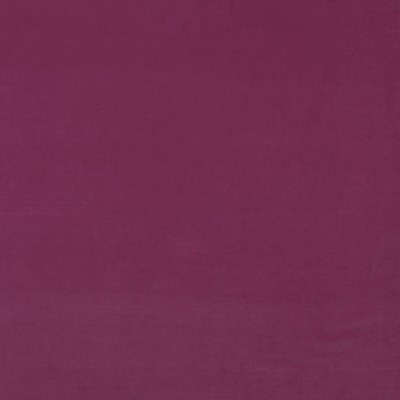 Kravet MEDICI GERANIUM