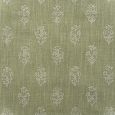 Kravet BUTTERCUP FENNEL