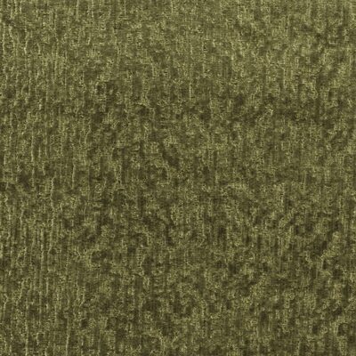 Kravet ROMA OLIVE