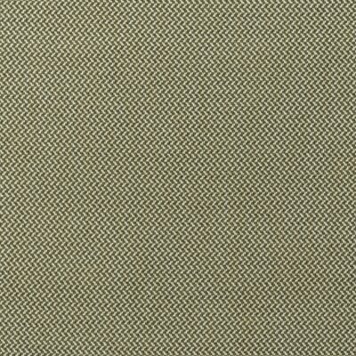 Kravet SANREMO OLIVE