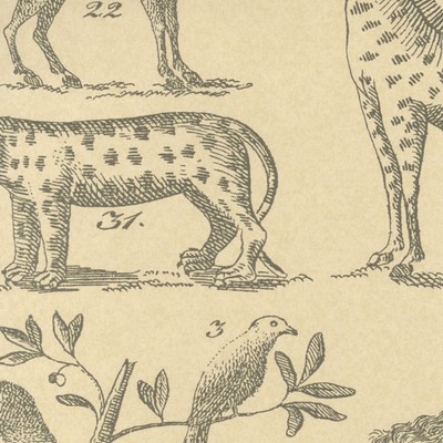 Kravet Wallcovering ARK PARCHMENT