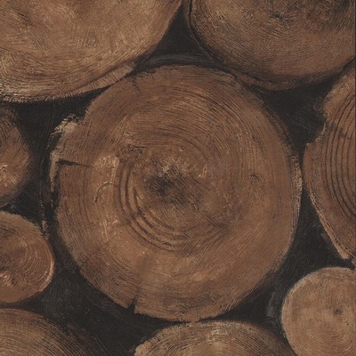 Kravet Wallcovering LUMBERJACK TIMBER
