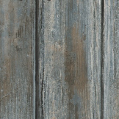 Kravet Wallcovering TIMBER DRIFTWOOD