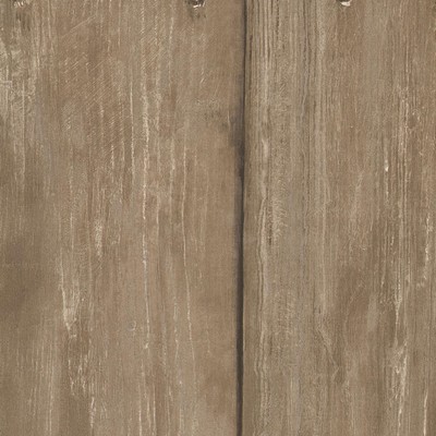 Kravet Wallcovering TIMBER OAK