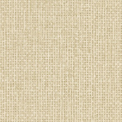 Kravet Wallcovering RAFFIA NATURAL