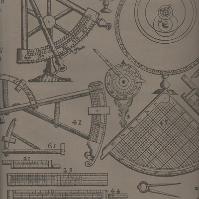 Kravet Wallcovering NEWTON COFFEE