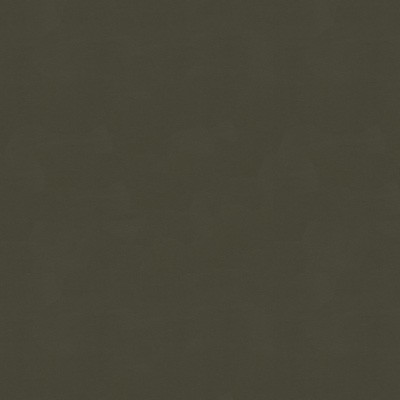 Kravet ARTISANAL PEWTER