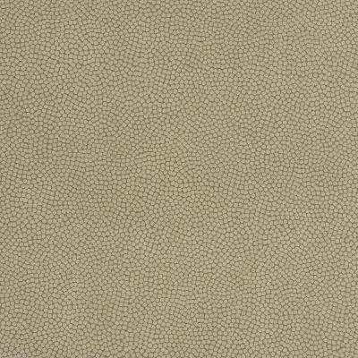 Kravet BEAUTYMARK GREYSTONE