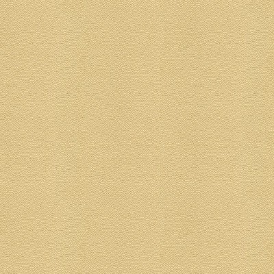 Kravet BEAUTYMARK SAND