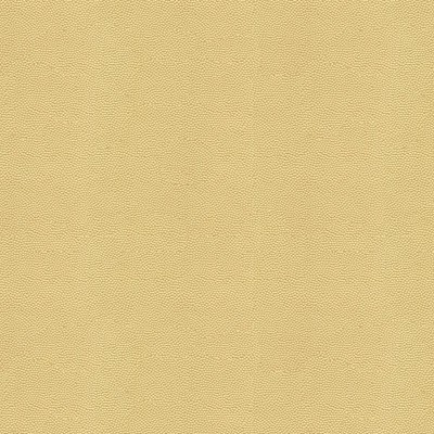 Kravet BEAUTYMARK FOG