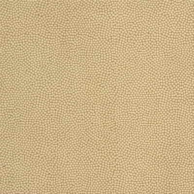 Kravet BEAUTYMARK SANDSTONE