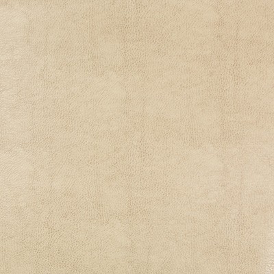 Kravet BEHOLDER 116
