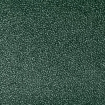 Kravet BOONE JUNIPER