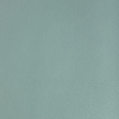 Kravet BUFF 313