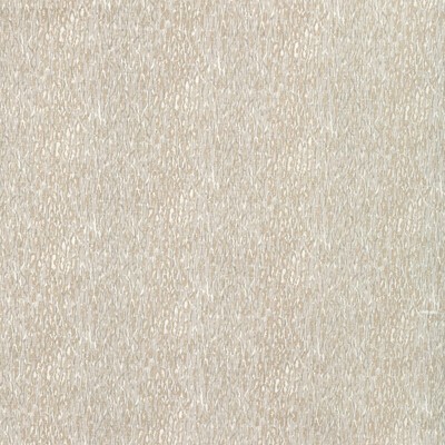 Kravet CHROMIS OYSTER