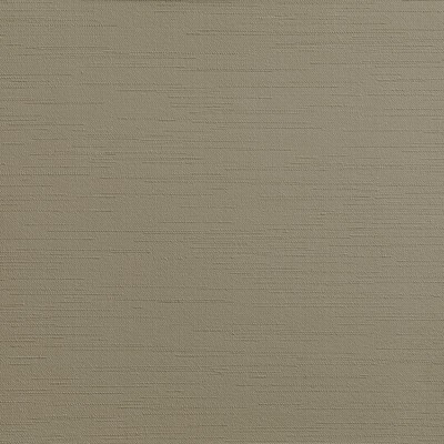 Kravet CLUTCH TORTOISE