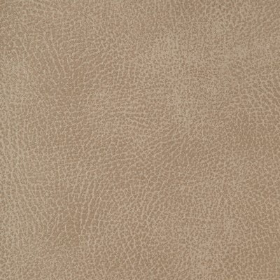 Kravet CRISP 1101