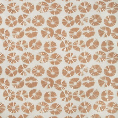 Kravet ECHINO CLAY