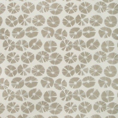 Kravet ECHINO FAWN