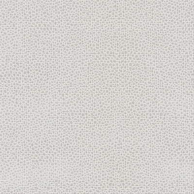 Kravet EDGY SHARK PLATINUM