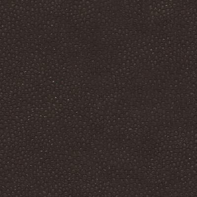 Kravet EDGY SHARK ESPRESSO