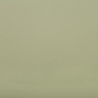 Kravet EXTREME OLIVE