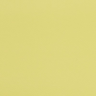 Kravet EXTREME WASABI