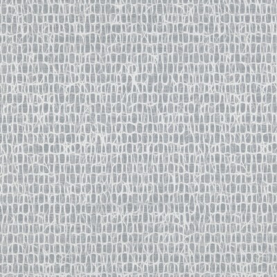 Clarke and Clarke VENA SILVER