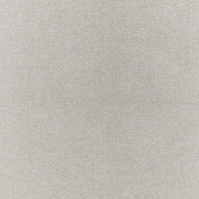 Clarke and Clarke ACIES SILVER