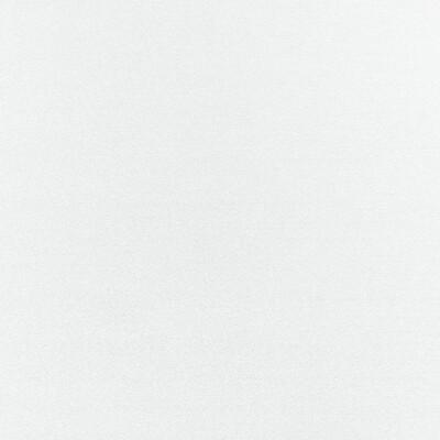 Clarke and Clarke FELPA POLAR