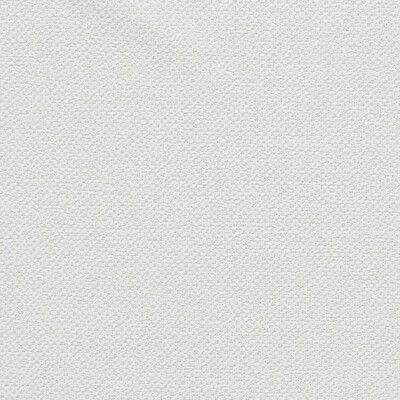 Clarke and Clarke FILUM POLAR