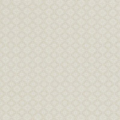 Clarke and Clarke AZTEC IVORY