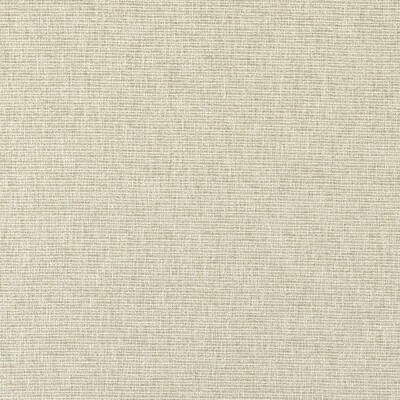 Clarke and Clarke AVANI LINEN
