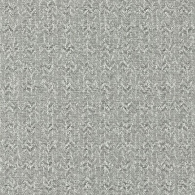 Clarke and Clarke TIERRA CHARCOAL