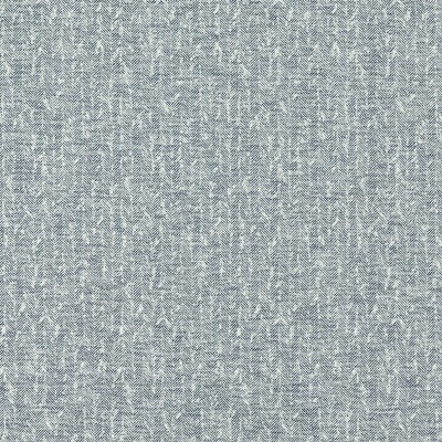 Clarke and Clarke TIERRA MIDNIGHT