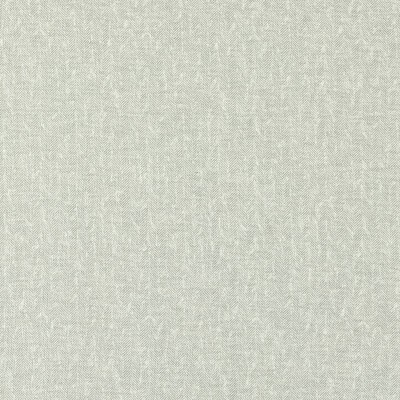 Clarke and Clarke TIERRA SILVER