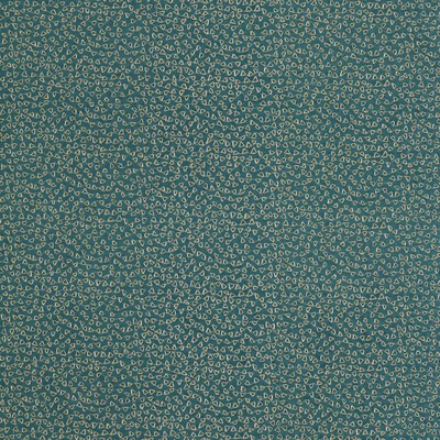 Clarke and Clarke RICAMO TEAL