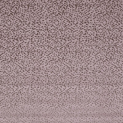 Clarke and Clarke ASTRAL HEATHER