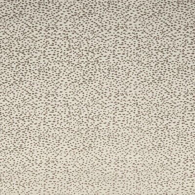 Clarke and Clarke ASTRAL STONE