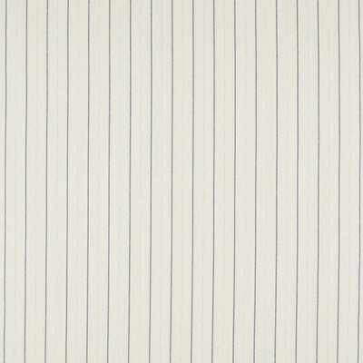 Clarke and Clarke BOWMONT DENIM