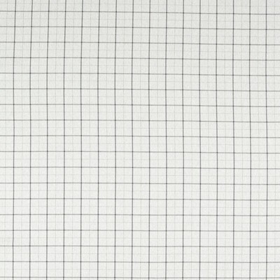 Clarke and Clarke THORNTON SILVER