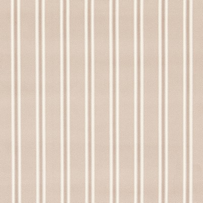 Clarke and Clarke BOWFELL BLUSH