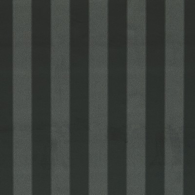 Clarke and Clarke HALDON EBONY